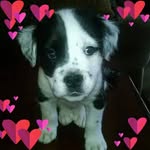Jenny Coller Studer - @deezilmom - Instagram