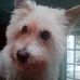 Jenny Sumner - Facebook