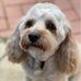 Jenny Vitale - Facebook