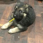 Jenny Waller - @jenwaller61 - Instagram
