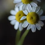 Jenny Waller - @jennyclickinmoms - Instagram