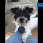 Jenny Waller - @jenny.waller.123 - Instagram