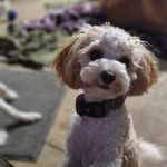 Jenny Waller - @jenjen.waller - Instagram