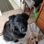 Jenny Walters - @jennywalters197 - Instagram