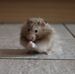 Jenny Walters - Facebook