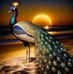 Jenny Ward - Facebook