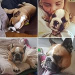 Jenny Ware - @warejenny - Instagram