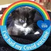 Jenny Ware - @jenny.ware - TikTok