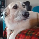 Jenny Warman - @jennyheather1977 - Instagram