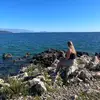 Jenny Weber - @jenny00800 - TikTok