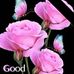 Jenny Will - Facebook