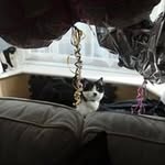 Jenny Williamson - @jennywilliamson4 - Instagram