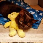 Jenny Williamson - @jennyw1953 - Instagram