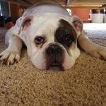 Jen Jordan - @jenny.wunderlich.92 - Instagram