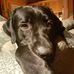 Jens Albrecht - Facebook