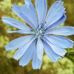 Jens ALbrecht - Facebook