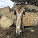 Jens Johnson - Facebook