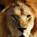 Jens Lorenz - @jens.lirenz - Instagram