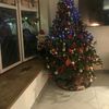 jensen_5 - @jensen_bean12 - TikTok