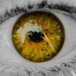 Jensen Hammond - @jensenhammond60 - Instagram
