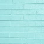Jensen Lewis - @jensen.theme - Instagram