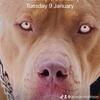 Jenson Morrison - @jenson.morrison - TikTok