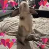 @janinxnueii - @jensenperry0101 - TikTok