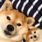 Jensenyang1129 - @jensenyang1129 - Instagram