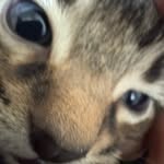 Jensen young - @jensenyoung52 - Instagram