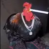 jensenyoung - @jensenyoung - TikTok