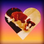 Jenson Marshall - @marshalljenson - Instagram