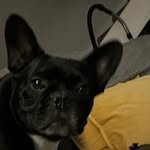 JensonMarshall - @jensonmarshall15 - Instagram