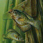 Jerad.owens542005 - @jeradowens542005 - Instagram