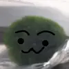 moss ball account - @jerald_the.moss._.ball - TikTok