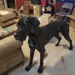 Jerald Boyd - Facebook