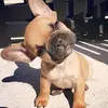 lucky - @jeraldbrooks - TikTok