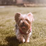 JeraldGriffing - @jeraldgriffingco - Instagram