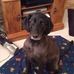 Gerald Manning - Facebook