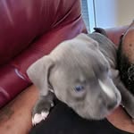 Gerald Sullivan - @sullivan.gerald - Instagram