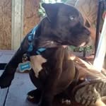 Jerald Sullivan - @jeraldsullivan - Instagram