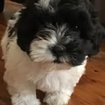 Jerald Thomas - @_hero_xdragon_303 - Instagram