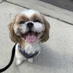 Jeramiah Johnson - @jeramiah838 - Instagram