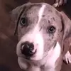 jeramiebrown970 - @jeramiebrown970 - TikTok