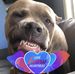 Jeremy Lee Gelsinger - Facebook