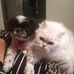 Jere Johnson - Facebook