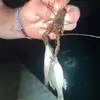 jeremiahcompton4 - @j5676327 - TikTok