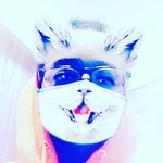 Jeremiah Conley - @tbh._.jeremiah.ayy - Instagram