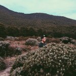 Jeremiah Edgar - @jebijebijebi - Instagram