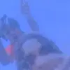 bloodhound Lil jeff - @jeremiah.fields25 - TikTok