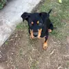 jeremiahforrester - @klittlesbrother - TikTok